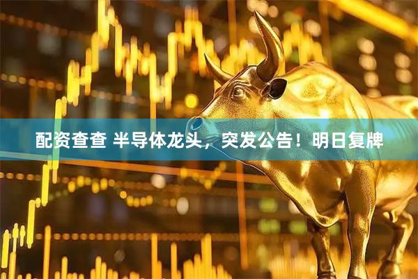 配资查查 半导体龙头，突发公告！明日复牌